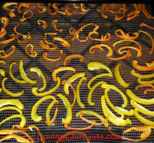 pepper-dehydrator